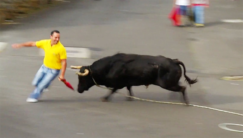 Tourada à Corda na Casa da Ribeira