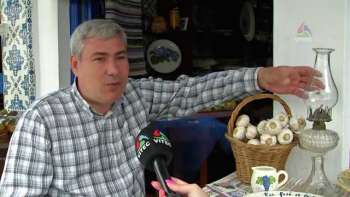 Antiguidades no Mercado de Angra - Terceira Dimensão 220