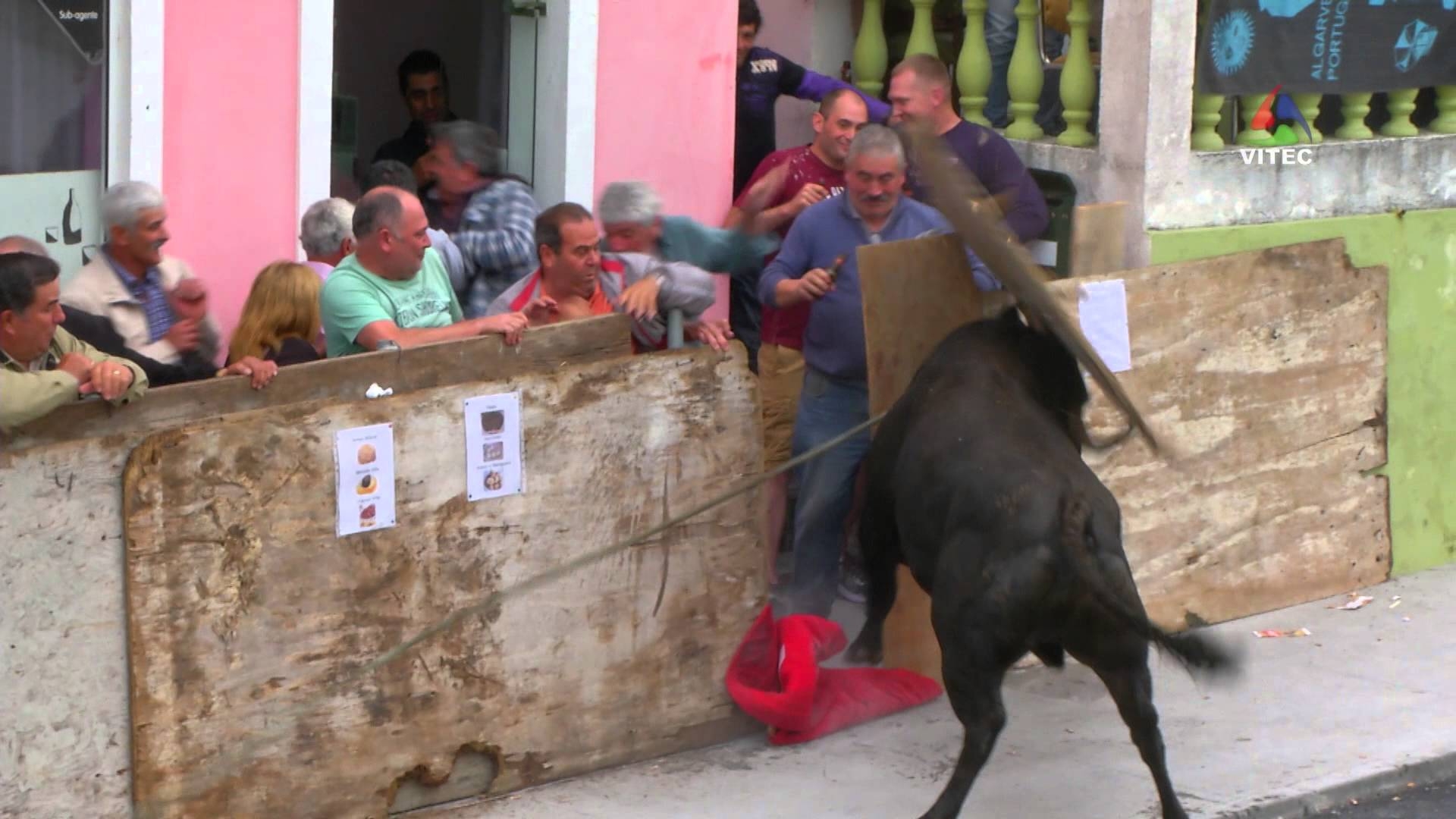 Tourada à Corda no Poço da Areia