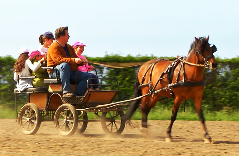 Dia Mundial da Criança - Terceira Dimensão 241