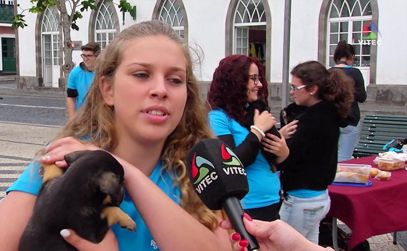 Feira Solidária na Praça Velha - Terceira Dimensão 243