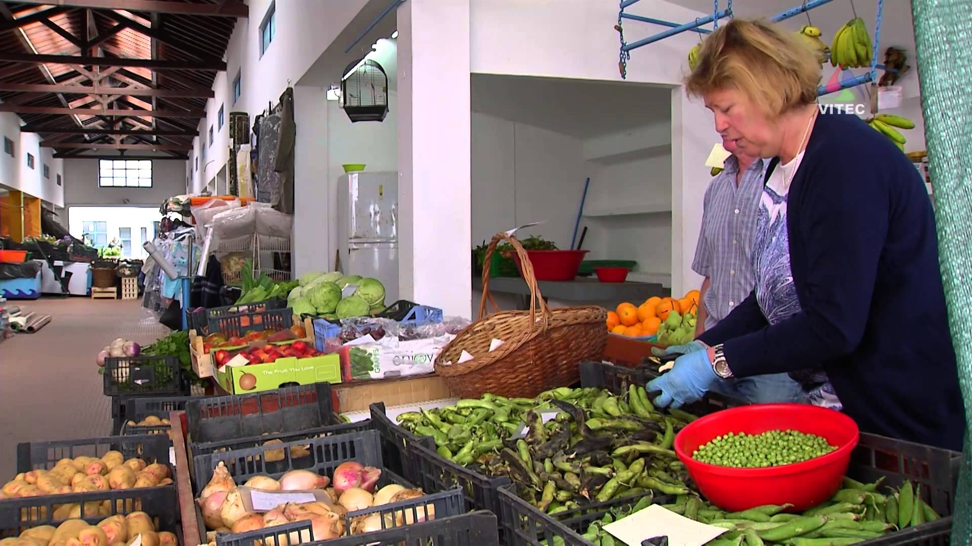 Comerciante mais antigo do Mercado de Angra - Terceira Dimensão 252