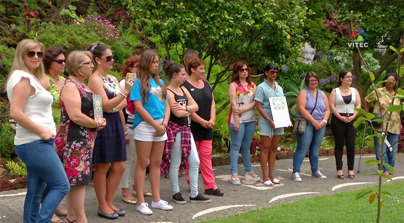 "Perde e Ganha" no Jardim - Terceira Dimensão 260