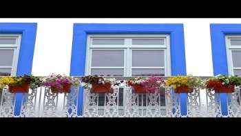 Varandas de Angra - Sanjoaninas 2015 - Terceira Dimensão 269