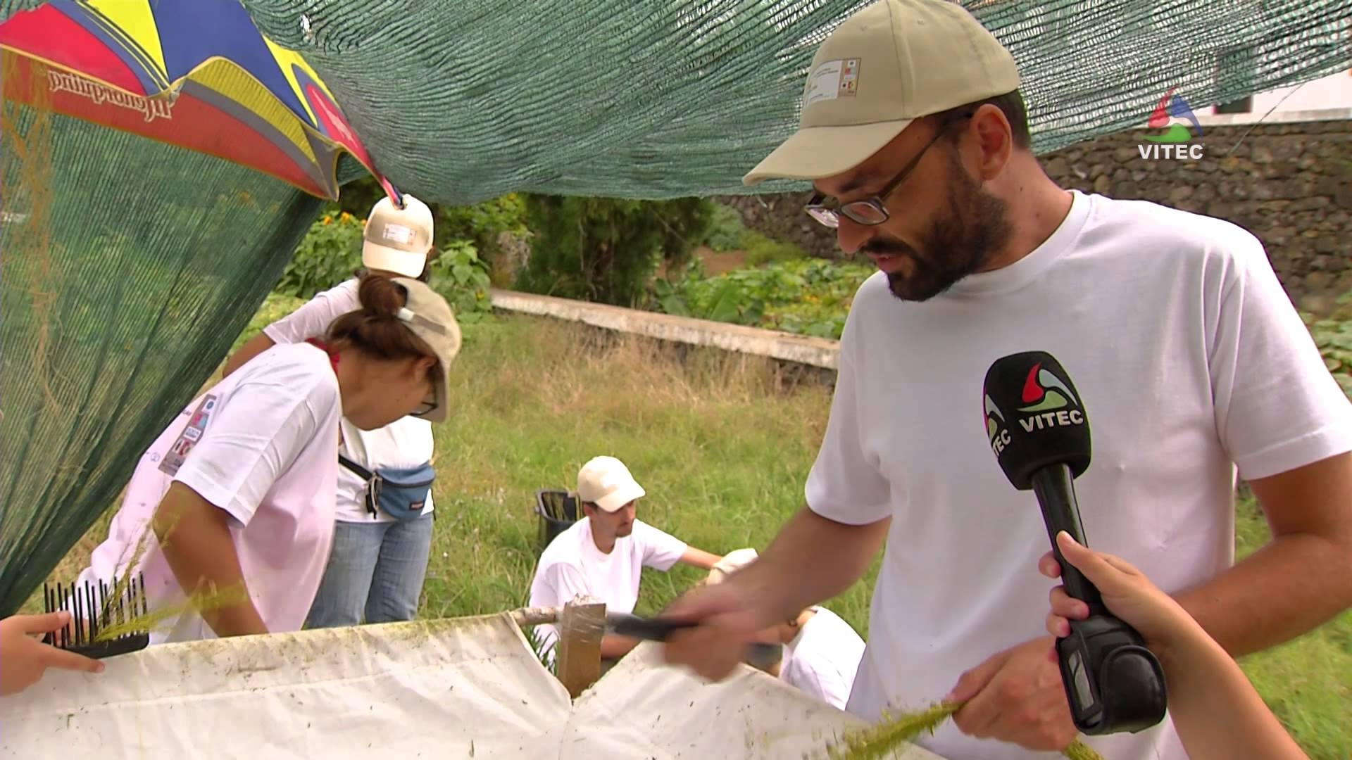 Azorlinho, recuperando a Tradição - Terceira Dimensão 285