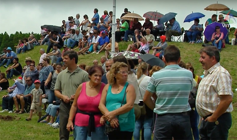 Dia do Emigrante - Terceira Dimensão 288