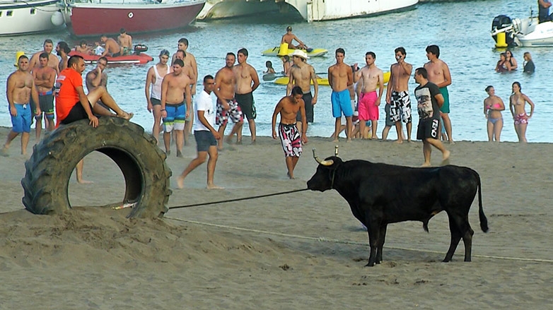 Praia da Vitória Motor Show e Festas da Praia 2015 - Abraçando o Futuro 15