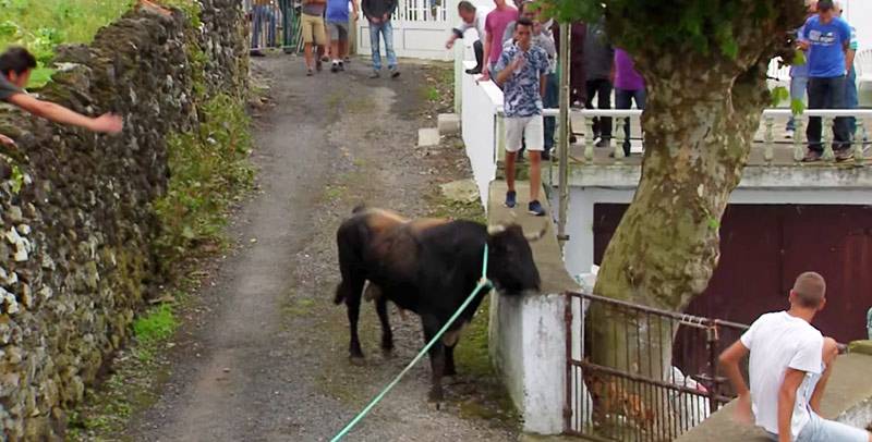 Quinto Toiro na Feteira - Terceira Dimensão 327