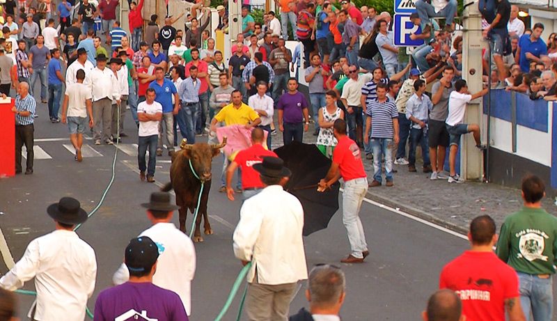 Especial Segunda-feira de São Carlos - Terceira Dimensão 334