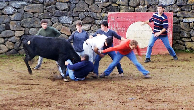 Encerramento Temporada 2015 Forcados TTT - Terceira Dimensão 372