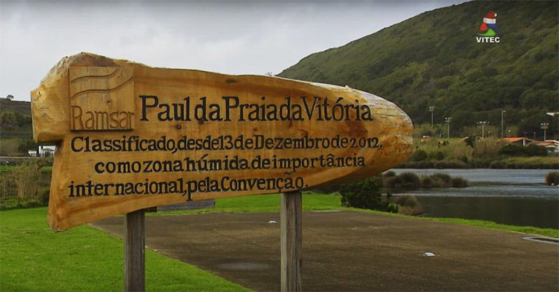 Projecto "Life CWR", os Pauis da Praia e o Cabo da Praia - Abraçando o Futuro 31