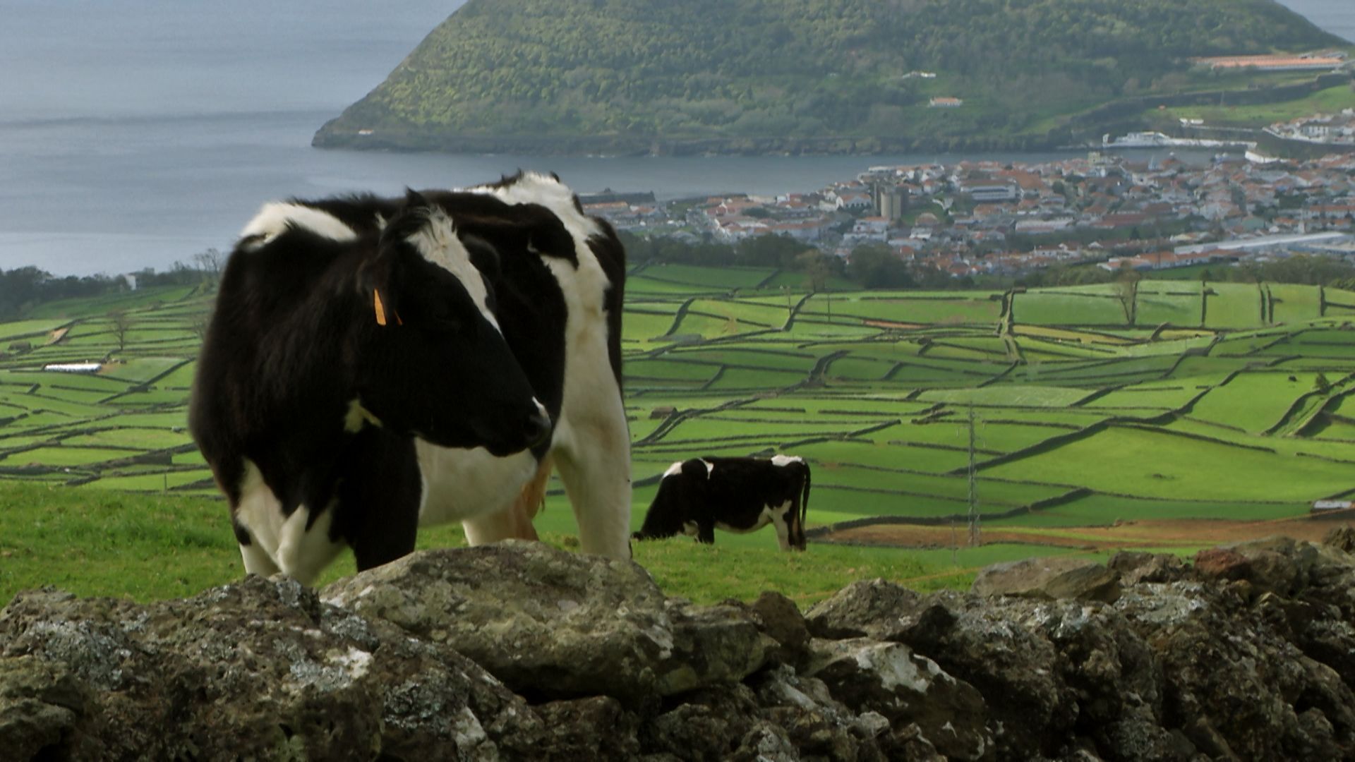 Ilha Terceira em Fevereiro - Terceira Dimensão 445