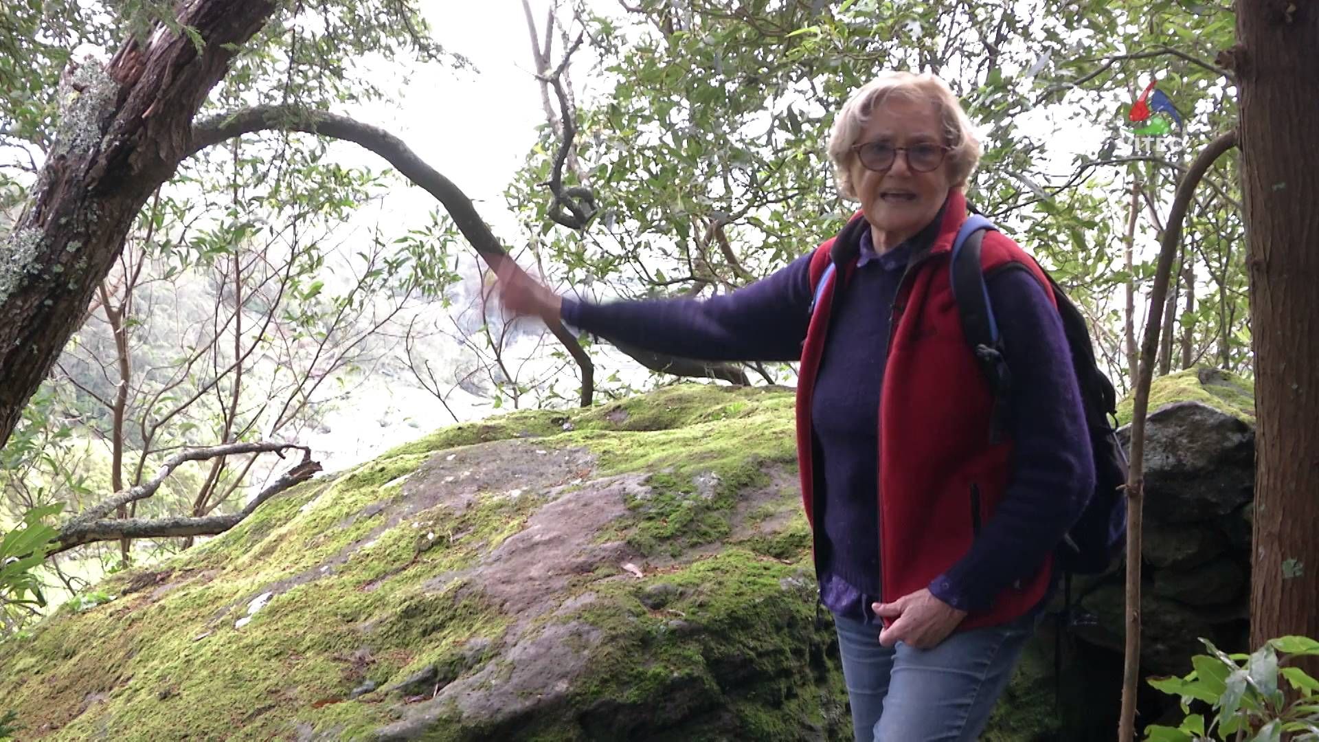 Marcas de corte e pias em pedras na Grota do Medo - Terceira Dimensão 451