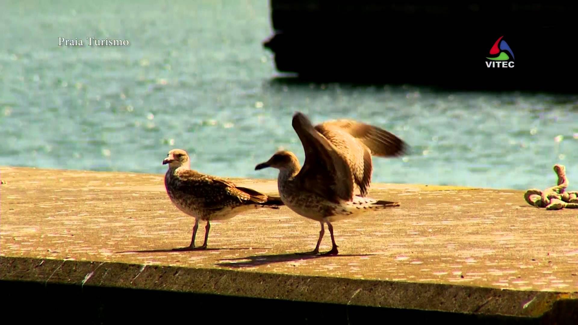 Praia da Vitória - Deixa-te Seduzir