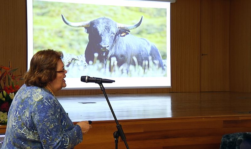 Festa Brava na "Semana da Ciência" - Terceira Dimensão 474
