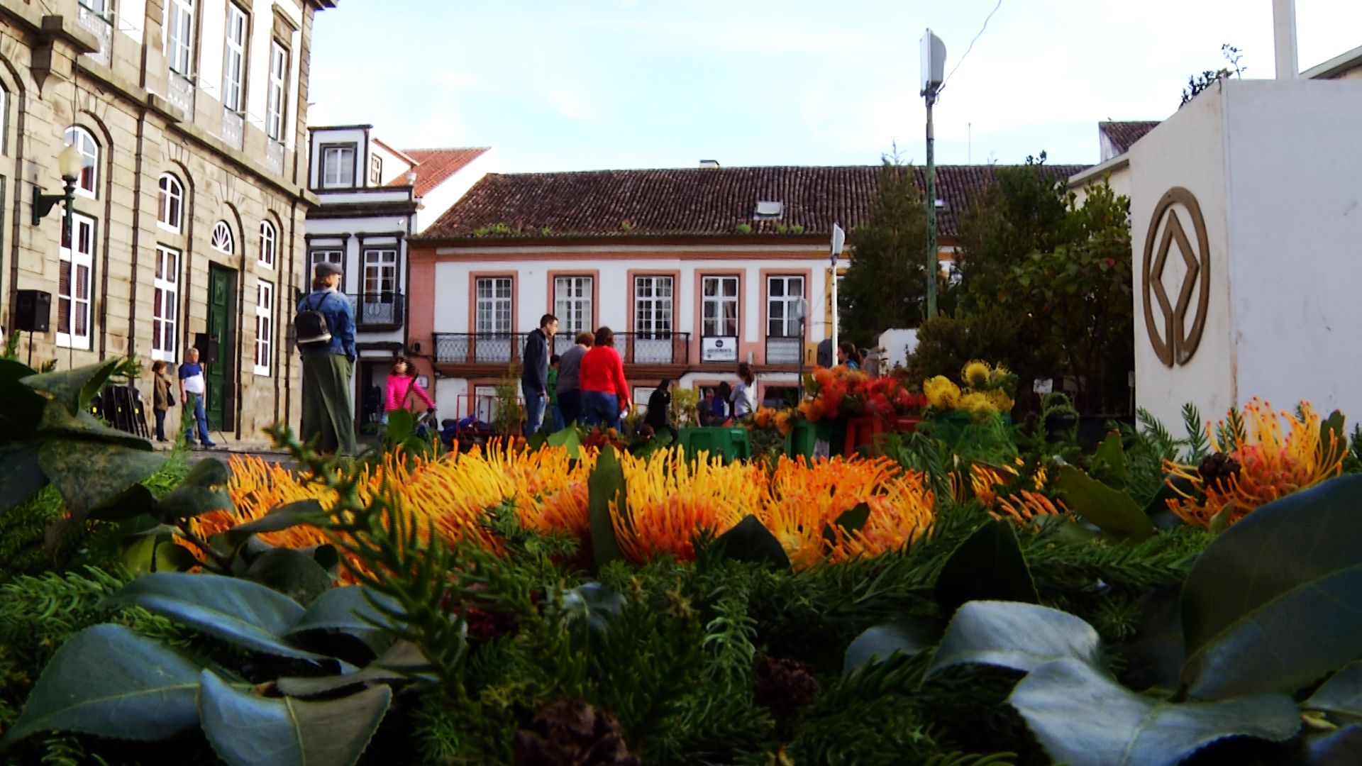 Arte Floral em Angra - Terceira Dimensão 476