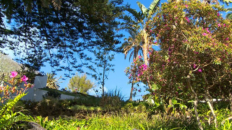 Zonas Verdes em Angra - Terceira Dimensão 483