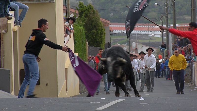 Tourada à corda e saudade da terra-natal - Terceira Dimensão 527