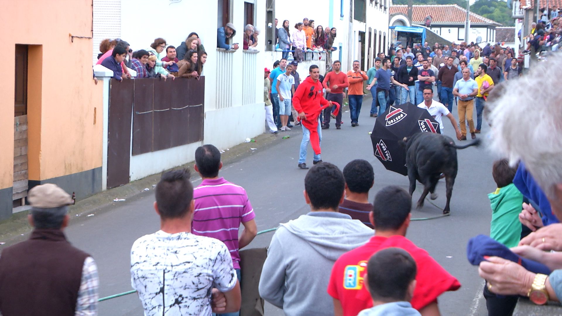 Tourada à corda nos Altares - Terceira Dimensão 533