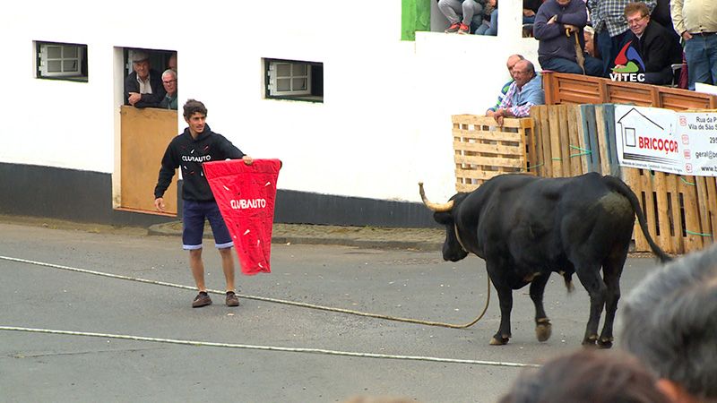 Tourada à corda em São Sebastião - Terceira Dimensão 547
