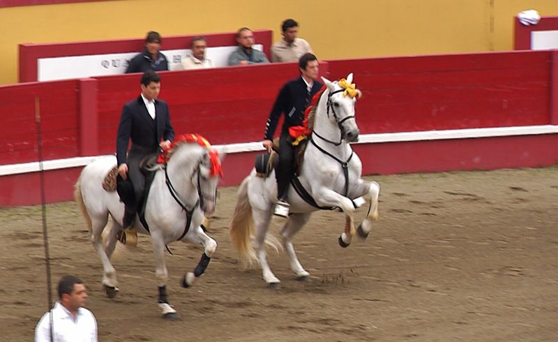 Direto do Espectáculo Taurino Solidário - 1ª Parte