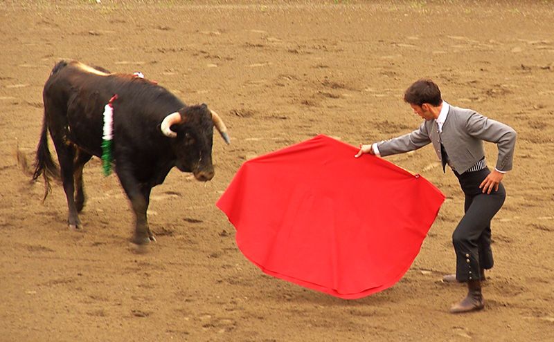 Direto do Espectáculo Taurino Solidário - 2ª Parte