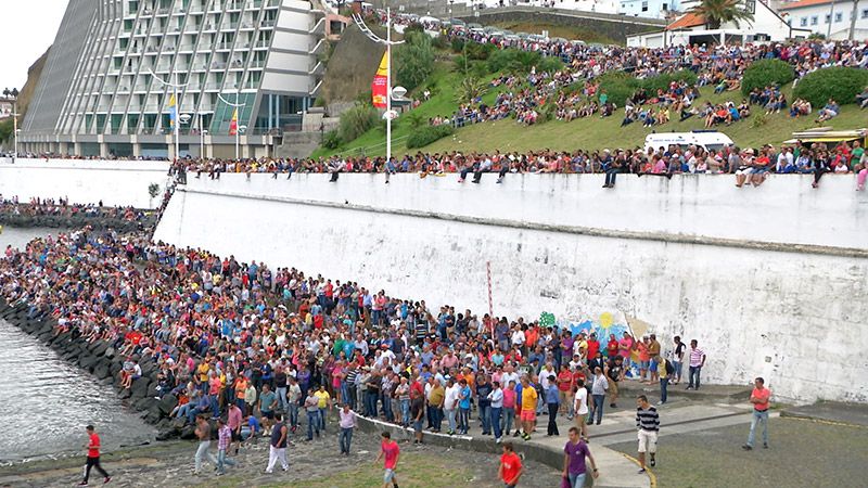 Tourada à corda no Porto das Pipas - Terceira Dimensão 580
