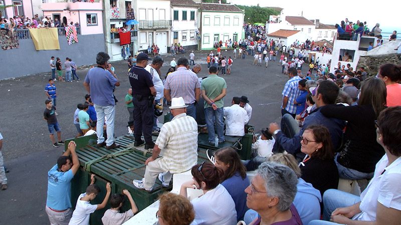 Tourada à corda na Fonte da Ribeirinha - Terceira Dimensão 585