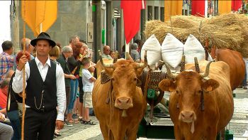 Direto do Cortejo Etnográfico das Festas da Praia 2016