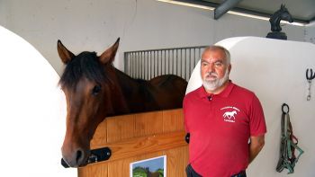 Passeios a cavalo na Serreta - Terceira Dimensão 609