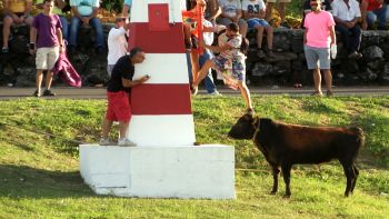 Tourada no porto dos Biscoitos e Novo Comandante da BA4 - Abrançando o Futuro 68