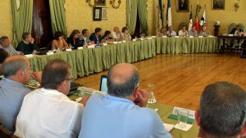 Assembleia Municipal de Angra preocupada com praga de pombos - Terceira Dimensão 657 