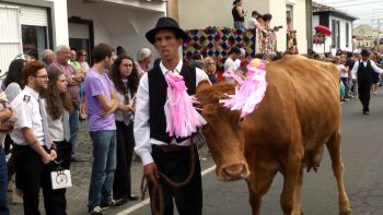 Bodo de Leite e Tourada na Terça-feira das Lajes - Abraçando o Futuro 70