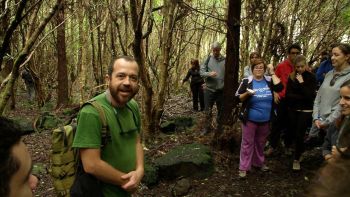 Make-a-Wish realiza Caminhada Solidária - Terceira Dimensão 670