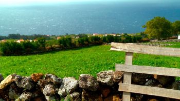 VITEC na NOS Açores Canal 55