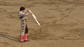 João Pedro Silva - Bandarilheiro "O Açoriano" - Terceira Dimensão 726