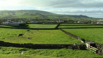 Fim de tarde na Ilha Terceira