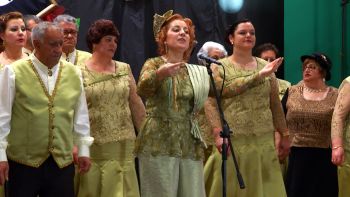 Bailinho da Vila Nova - “E Tudo o Vento Levou” - Carnaval Sénior 2017