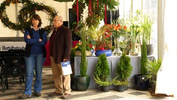 Floricultura como potencial turístico em Angra - Terceira Dimensão 790