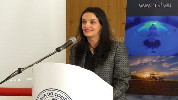 Abertura - Conferências Competitividade & Cooperação 2017