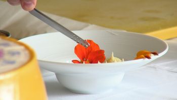 2º Workshop - Azorean Cheese Fest