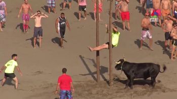 Direto da Tourada à Corda no areal nas Festas da Praia