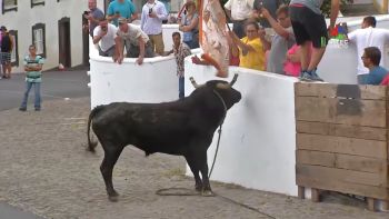Direto da Tourada à Corda da Feteira
