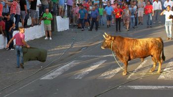 Tourada à Corda nas Festas do Raminho 2017