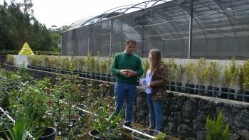 Produção de Espécies Endémicas na Ilha Terceira - Terceira Dimensão 1107