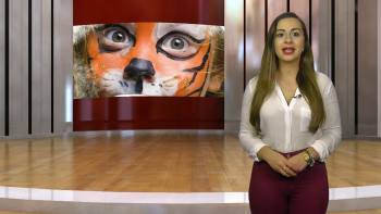 Sugestões Culturais – InFoco 60