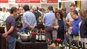 Wine in Azores acolhe sete mil visitantes na Terceira - InFoco 71