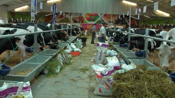 Feira Agrícola Açores 2018 com grande sucesso - InFoco 83