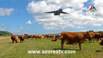 Voar pela história da Base das Lajes - Terceira Dimensão 1224