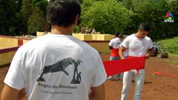 Festa Campera reúne gerações de forcados - Terceira Dimensão 1246